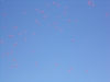 dscn1163